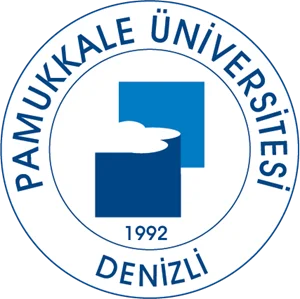 Pamukkale University*