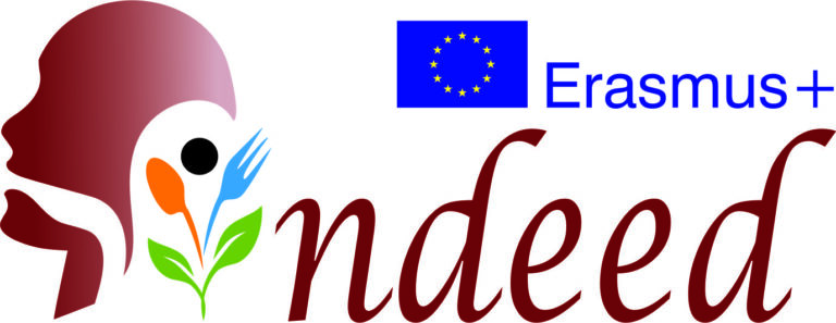 INDEED: Innovative tools for diets oriented to education and health improvement in dysphagia condition