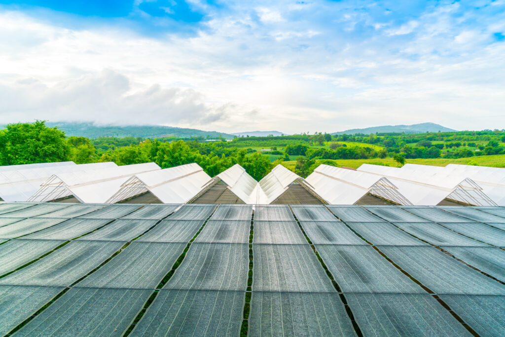 Green Roofs projekto naujienlaiškis