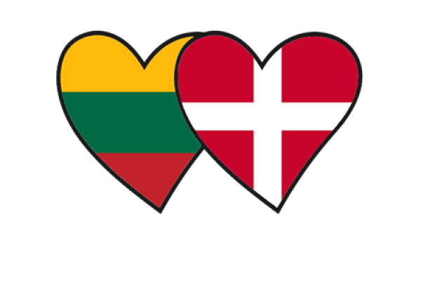 Lietuvos – Danijos Rotary klubų stipendija studentams